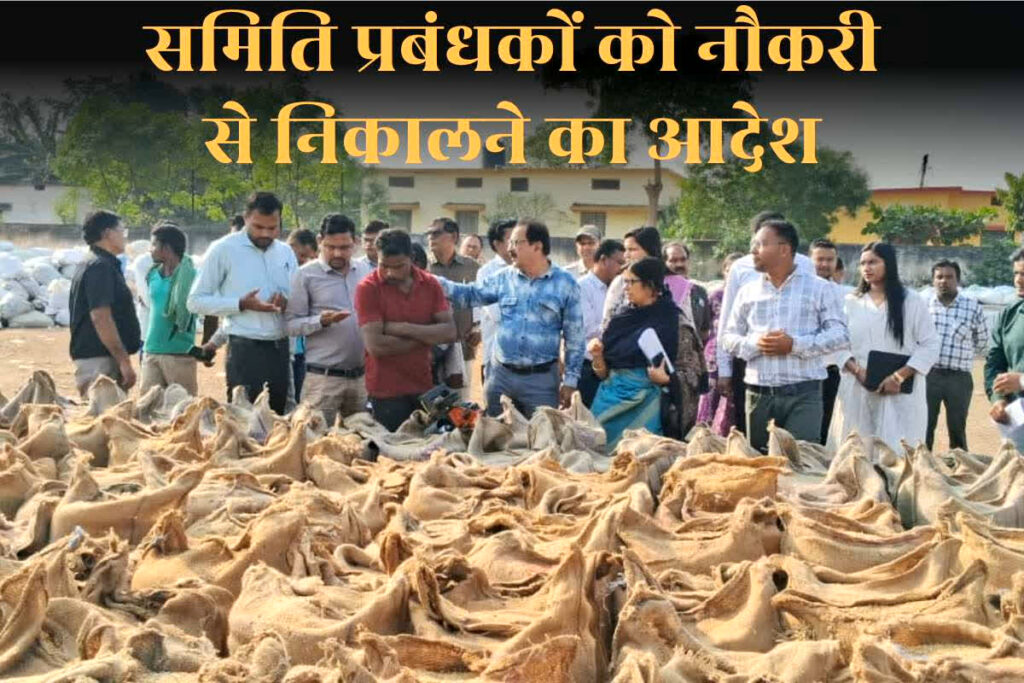 CG Dhan Kharidi 2025-26: धान खरीदी के बाद समिति प्रबंधकों को सरकार ने नौकरी से निकाला, तीन अन्य कर्मचारियों पर भी मामला दर्ज / Image: CG DPR