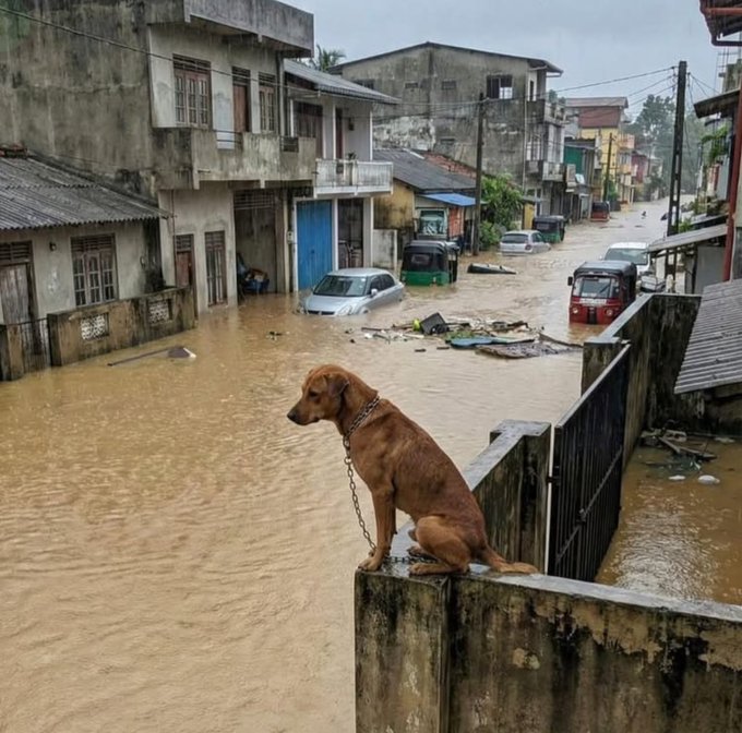 Srilanka Landslide and Flood News: श्रीलंका में अचानक आए भूस्खलन ने मचाया आतंक, ताजा तस्वीरें देखकर दहल जाएगा आपका दिल, अब तक इतनी मौतें, पीएम मोदी ने किया मदद का ऐलान…