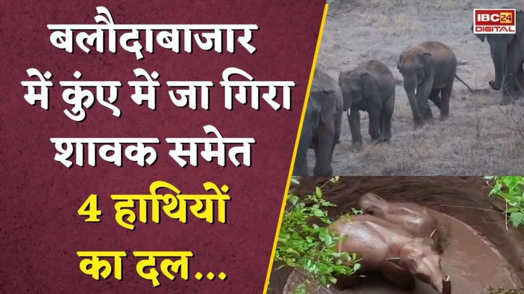 A group of 4 elephants