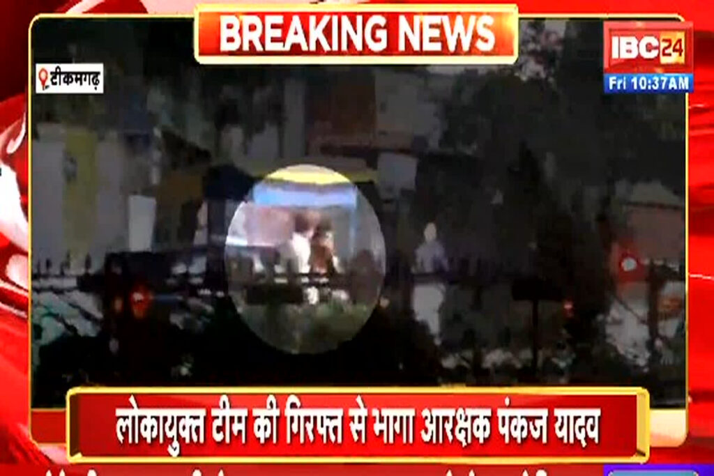 Tikamgarh Viral Video News/Image Credit: IBC24 X Handle