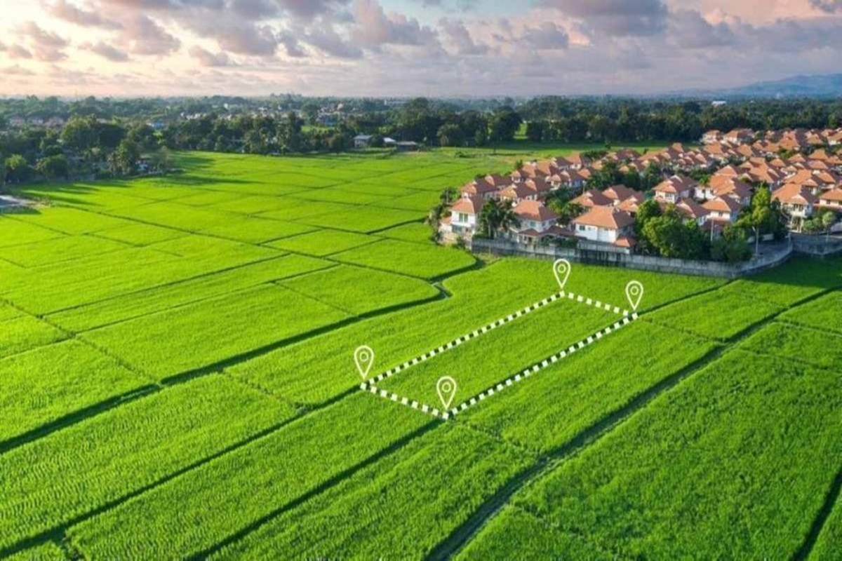 CG Land Diversion News: कृषि भूमि पर घर बनाने के लिए अब नहीं कराना होगा डायवर्सन, सरकार ने खत्म की बाध्यता, पहले लेनी होती थी इस अधिकारी से अनुमति