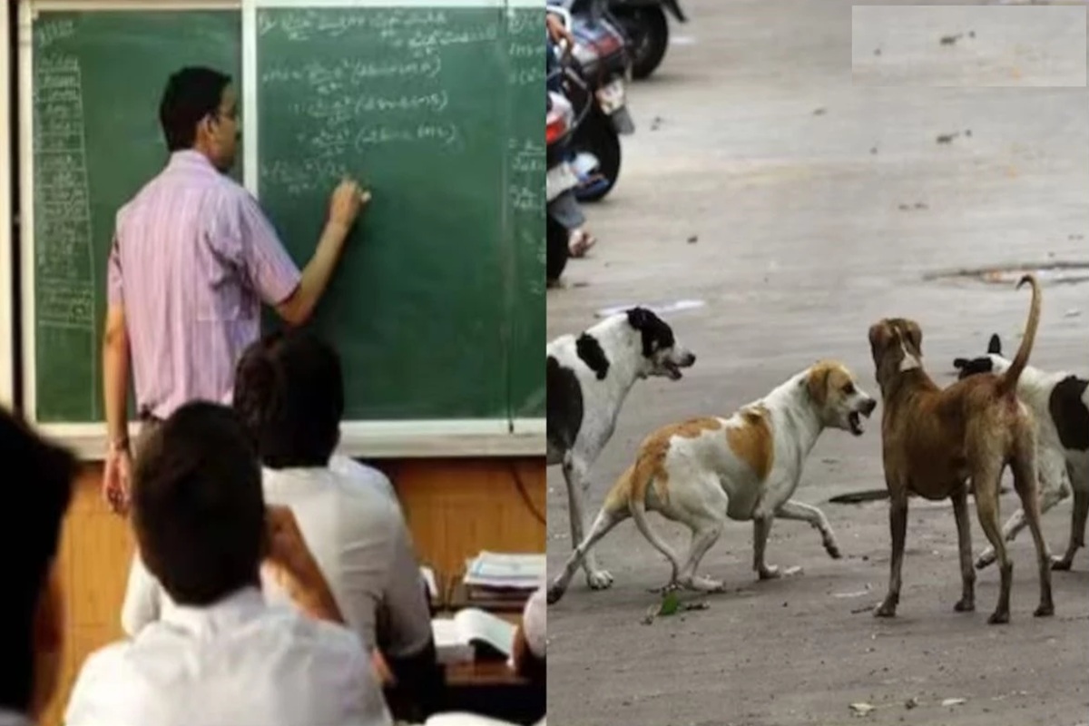 Stray Dogs News : स्कूलों के बाद कॉलेज-यूनिवर्सिटी में आवारा कुत्तों की निगरानी करेंगे प्रोफेसर! उच्च शिक्षा-विभाग जारी की ये गाइडलाइन, दिए गए कई अहम निर्देश
