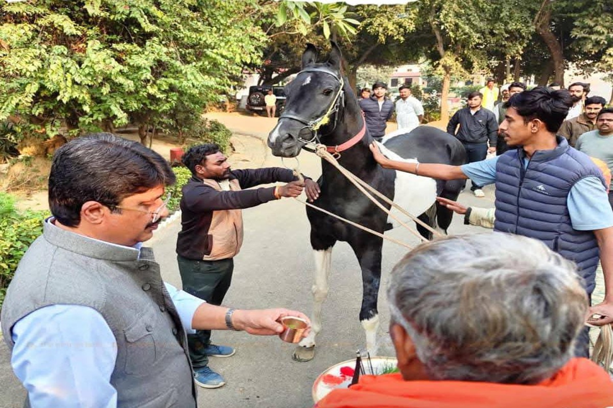 Raja Bhaiya: राजा भैया को तोहफे में मिला डेढ़ करोड़ का घोड़ा, मजबूत कद-काठी, चमकदार शरीर, मोर जैसी गर्दन और V अक्षर जैसे खड़े कान, खास पहचान