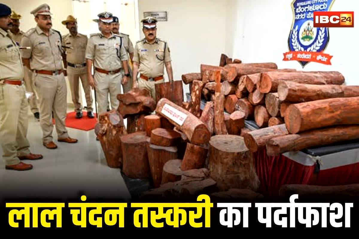 Bengaluru News: लाल चंदन तस्करी का भंडाफोड़! फ़िल्मी स्टाइल में छुपा कर ले जा रहे थे शातिर बदमाश, पुलिस ने 5 आरोपियों को ऐसे रंगे हाथों पकड़े, कीमत जानकार उड़ जाएंगे होश