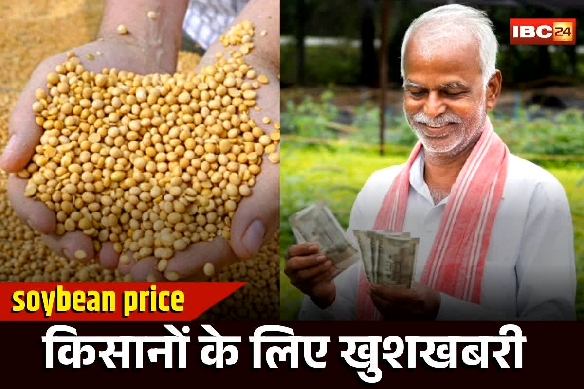 Bhavantar Yojana 2025: प्रदेश के किसानों के लिए खुशखबरी, सोयाबीन उत्पादकों को मिलेगा 5328 रुपए प्रति क्विंटल समर्थन मूल्य, राज्य सरकार का ऐतिहासिक फैसला