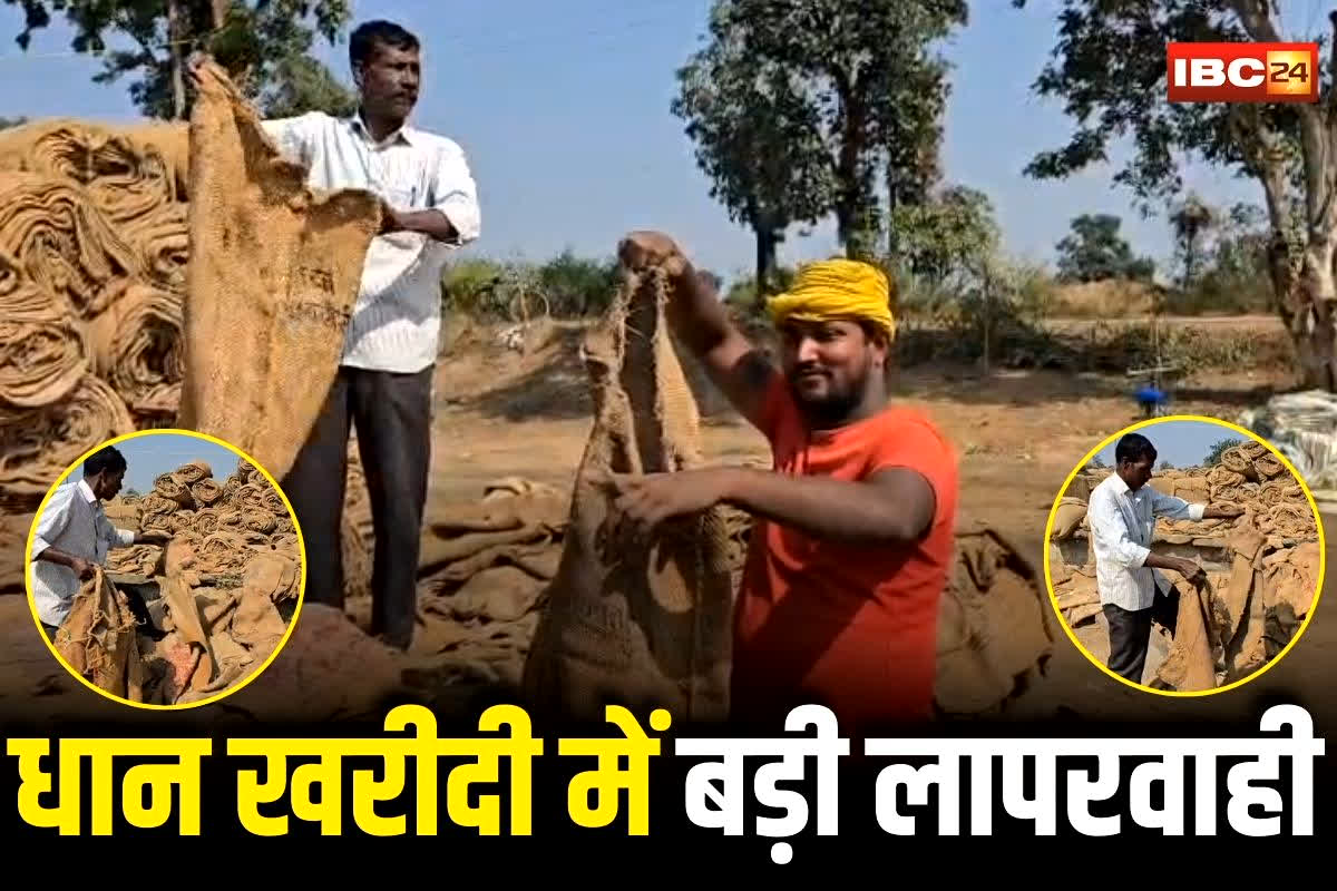 CG Dhan Kharidi Latest News: धान खरीदी में बड़ी लापरवाही आई सामने, इस वजह से किसानों का धान हो रहा बर्बाद, केंद्र प्रभारियों ने भी कह दी ये बड़ी बात