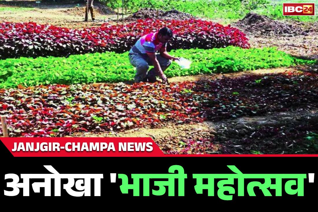 Chhattisgarh Bhaji Mahotsava: छत्तीसगढ़ के इस जिले में अनोखा ‘भाजी महोत्सव’.. 60 तरह की भाजियों की लगेगी प्रदर्शनी, 10 भाजी दीदियों का सम्मान भी