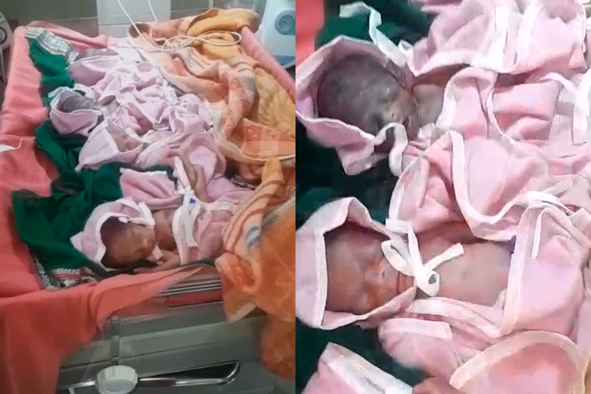 Chhindwara Four Babies: कुदरत का करिश्मा! महिला ने एक साथ इतने बच्चों को दिया जन्म, देखकर डॉक्टर भी रह गए दंग