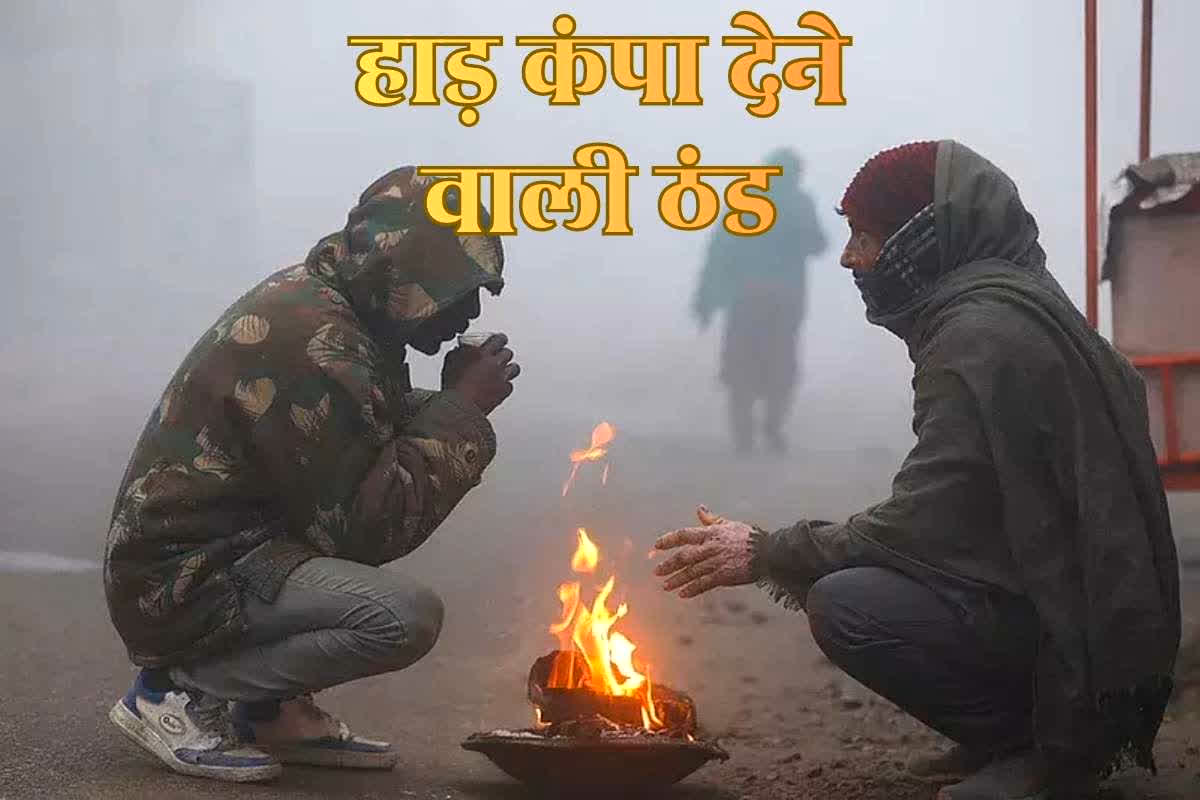 IMD Issues Yellow Alert for Cold Wave: प्रदेश के 12 जिलों में अगले 48 घंटों में शीतलहर का अलर्ट, 2 डिग्री तक गिर सकता है तापमान, मौसम विभाग ने जारी किया येलो अलर्ट