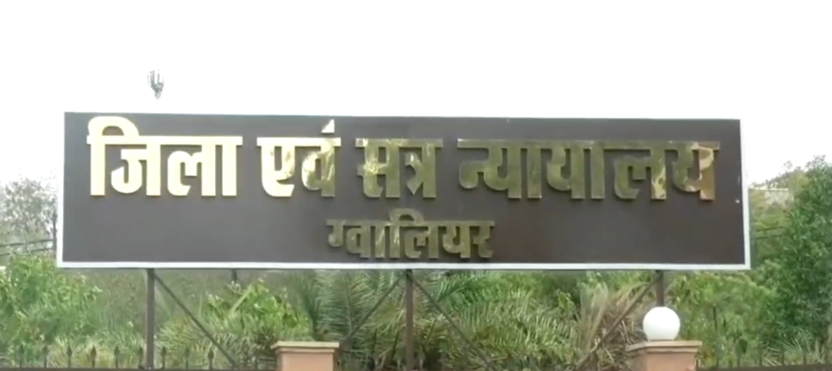 Fake Medicine in MP: मध्यप्रदेश के इस जिले में फ़ूड सप्लीमेंट लाइसेंस के बहाने बेची जा रही थीं अवैध दवाइंया, कोर्ट ने सुनाई कड़ी सजा, केंद्रीय टीम की रेड में मिले थे डरा देने वाले सुबूत