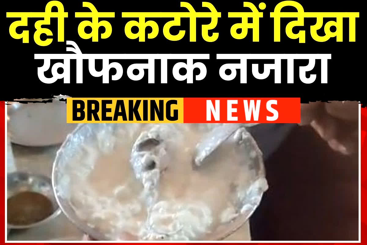 Ghazipur News: खाने से पहले कांप उठी ग्राहक की रूह! इस ढाबे के दही में मिला ऐसा चीज, देखकर जिला प्रशासन भी रह गई दंग