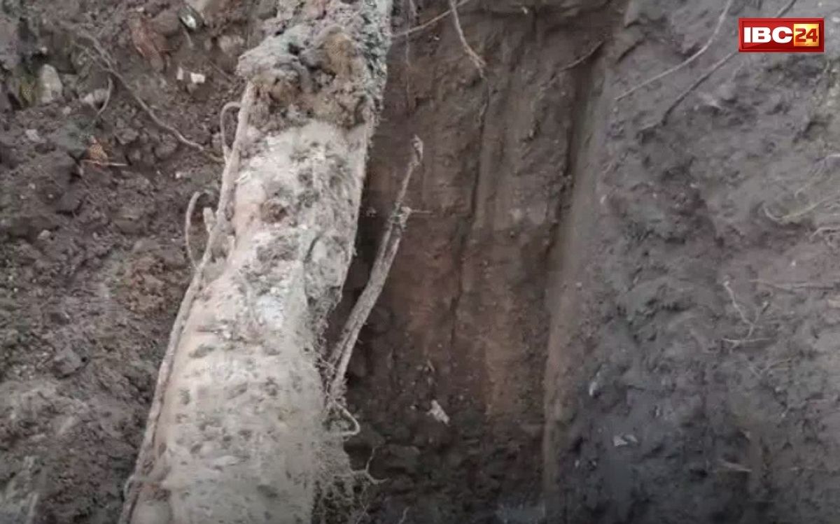 Indore Water Contamination: देश के सबसे स्वच्छ शहर में पानी दूषित, इंदौर में पॉल्यूटेड वॉटर ने ली 5 की जान, कई गंभीर, सीएम मोहन यादव करेंगे पीड़ितों से मुलाकात