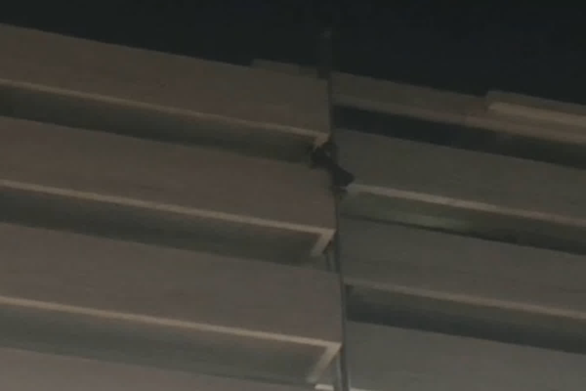 Indore Flat Viral Video: फ्लैट की आठवीं मंजिल में ये काम कर रहा था युवक, बालकनी का नजारा देख दंग रह गए लोग, वीडियो आया सामने