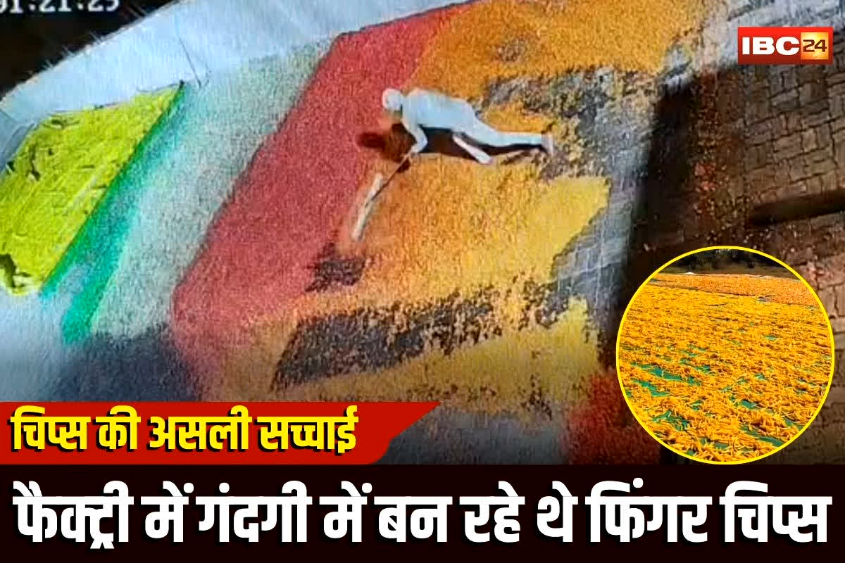Jabalpur News: फिंगर चिप्स की असली सच्चाई… फैक्ट्री में ऐसे गंदगी में बन रहे थे Finger Chips, वीडियो देखकर आपके भी होश उड़ जाएंगे