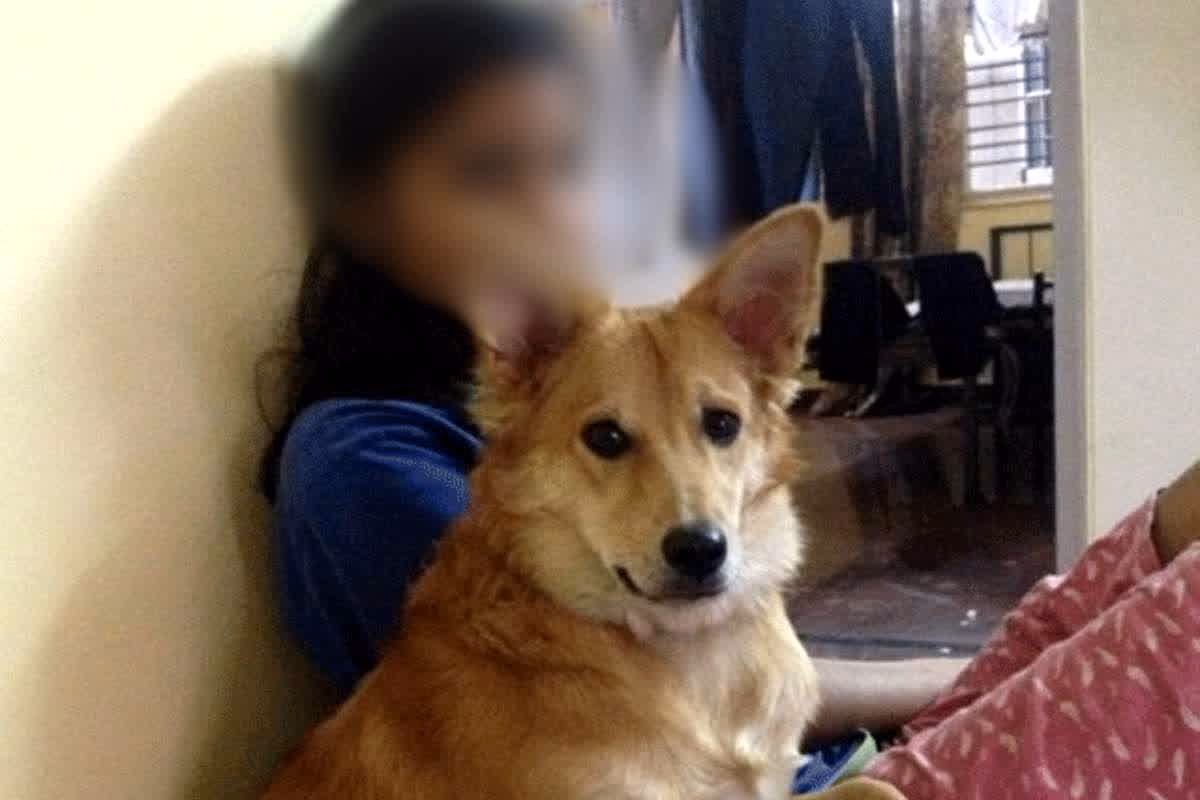 BJP MLA Pramod Kumar Video: ‘आत्मसंतुष्टि के लिए कुत्ता के साथ ऐसा काम करतीं हैं महिलाएं’ ये क्या बोल गए भाजपा विधायक, वायरल हो रहा वीडियो