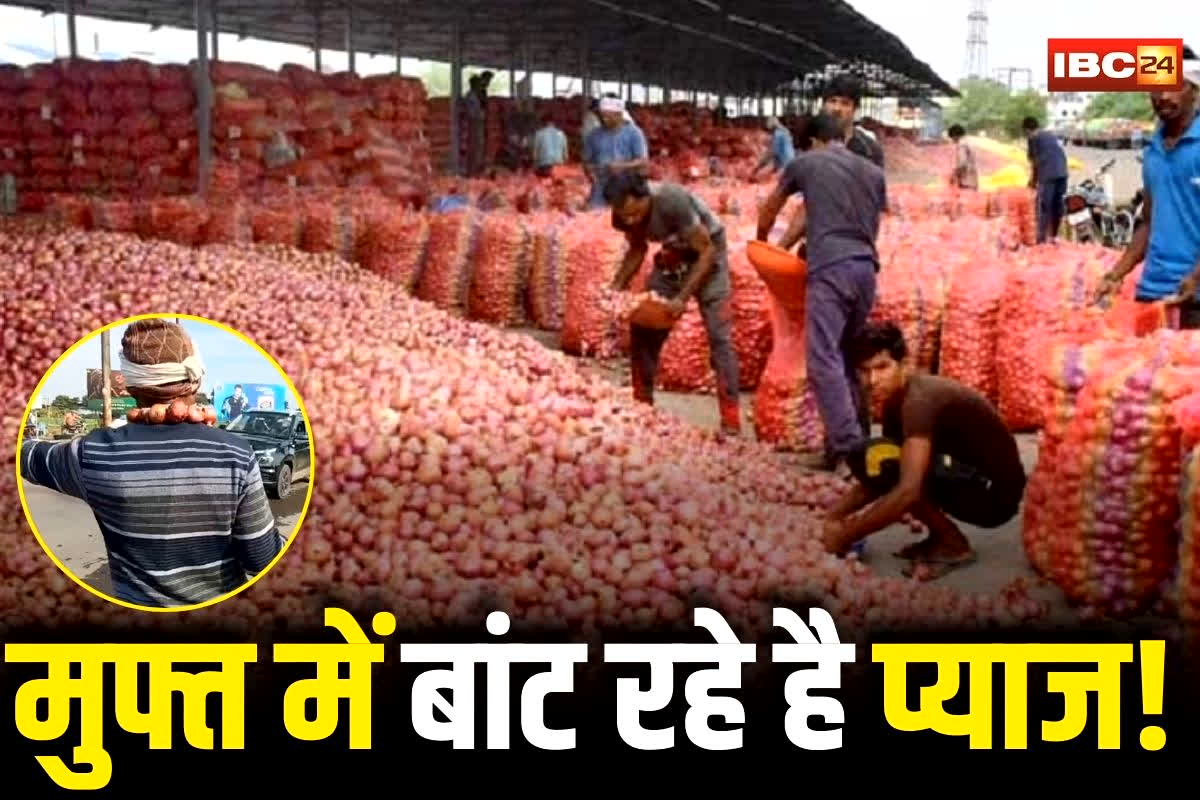 Onion Price Crash: प्याज के दाम ने किसानों को रुलाया… मंडी में कीमत जानकर होंगे हैरान, इस जगह मुफ्त में बांटते दिखे लोग, वीडियो वायरल