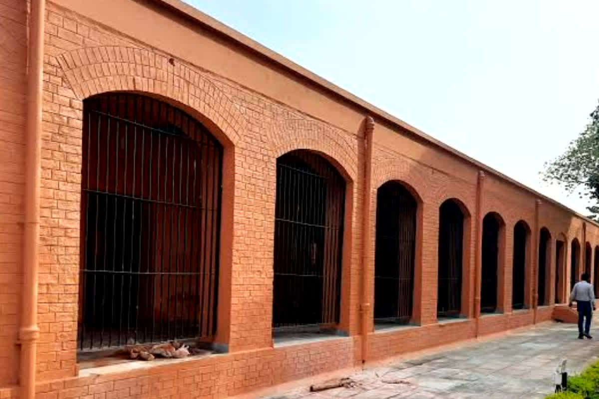 Prisoners dancing viral video: सेंट्रल जेल के भीतर मदमस्त होकर नाच रहे है कैदी.. वीडियो हुआ वायरल तो मचा हड़कंप, अब जांच और कार्रवाई के आदेश