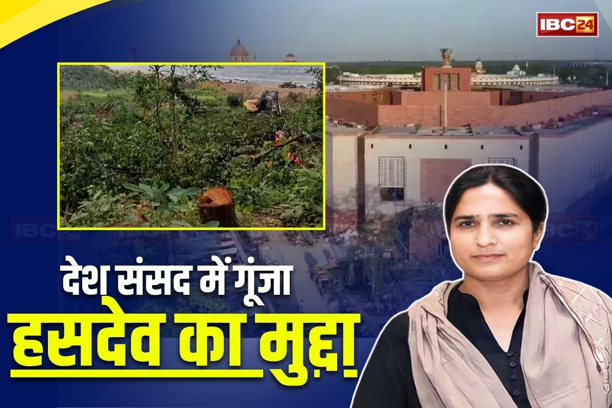 Hasdeo Issue in Parliament: देश की संसद में गूंजा हसदेव जंगल में पेड़ों की कटाई का मुद्दा, इस सांसद ने पूछे एक के बाद एक कई सवाल, जानिए क्या था सरकार का जवाब