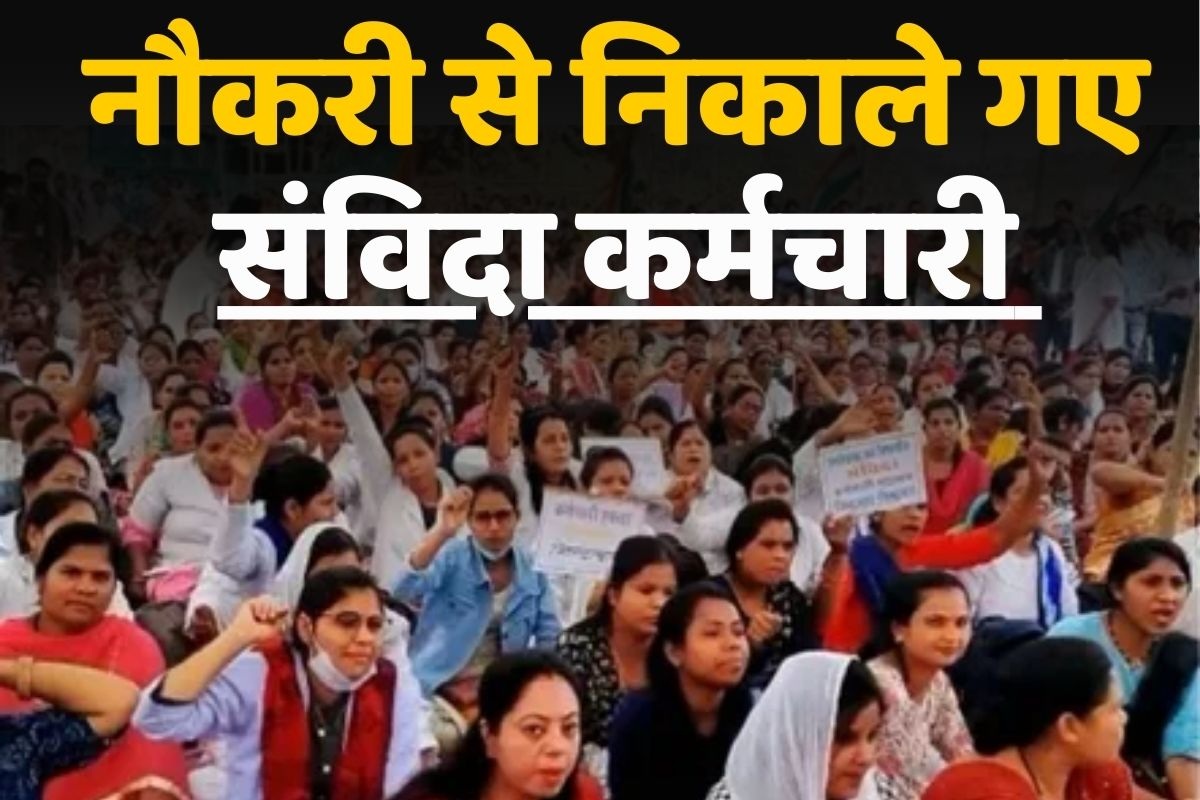 Samvida Karmachari Latest News: संविदा कर्मचारियों को नौकरी से निकालने का आदेश! नए साल से पहले लगा बड़ा झटका, विभाग में मची खलबली