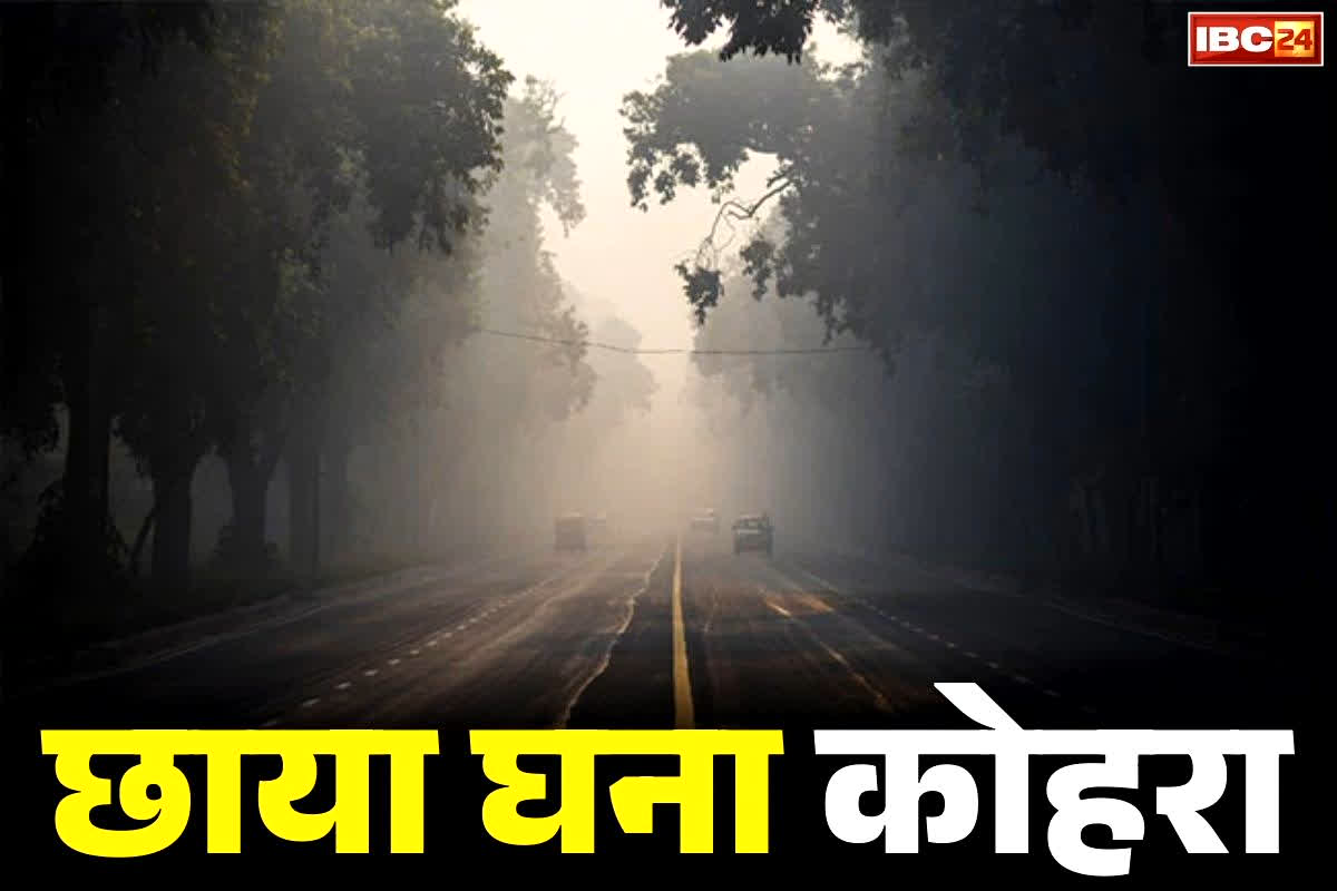 IMD Cold Weather Alert: इस राज्य के लिए मौसम विभाग ने जारी किया अलर्ट.. कोहरे की वजह से छाया अन्धेरा, 50 मीटर से भी कम विजिबलिटी