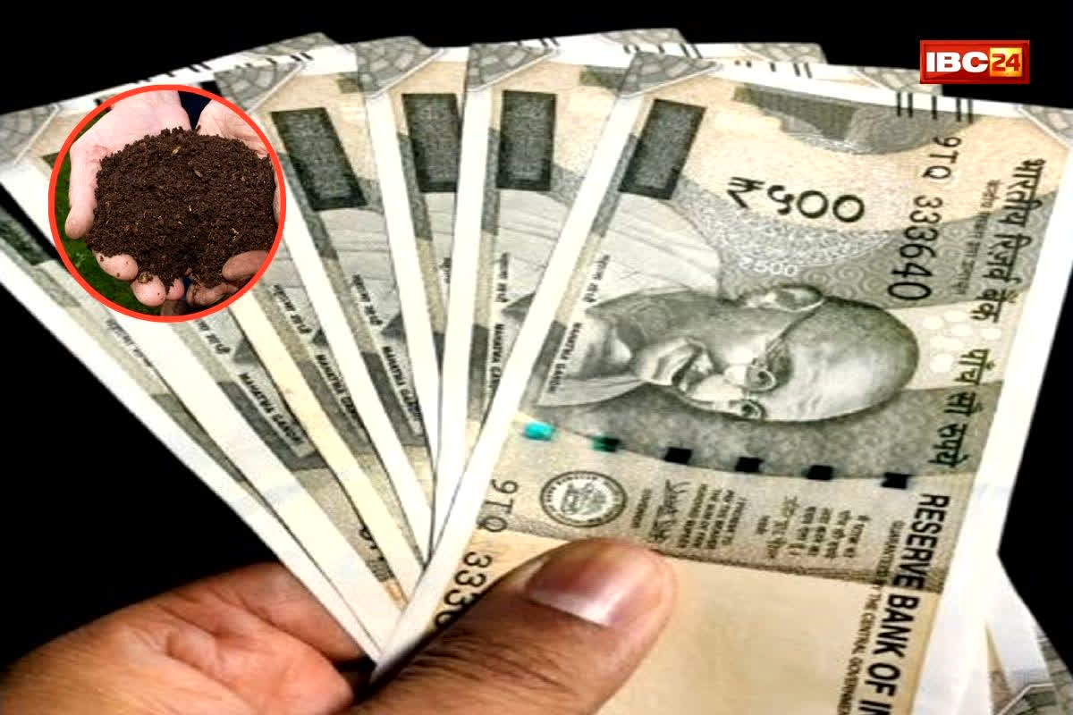 Business Plan: कम पूंजी, बड़ी कमाई! महज 50,000 रुपये से शुरू करें ये बिजनेस और कमाएं सालाना 10 लाख तक!