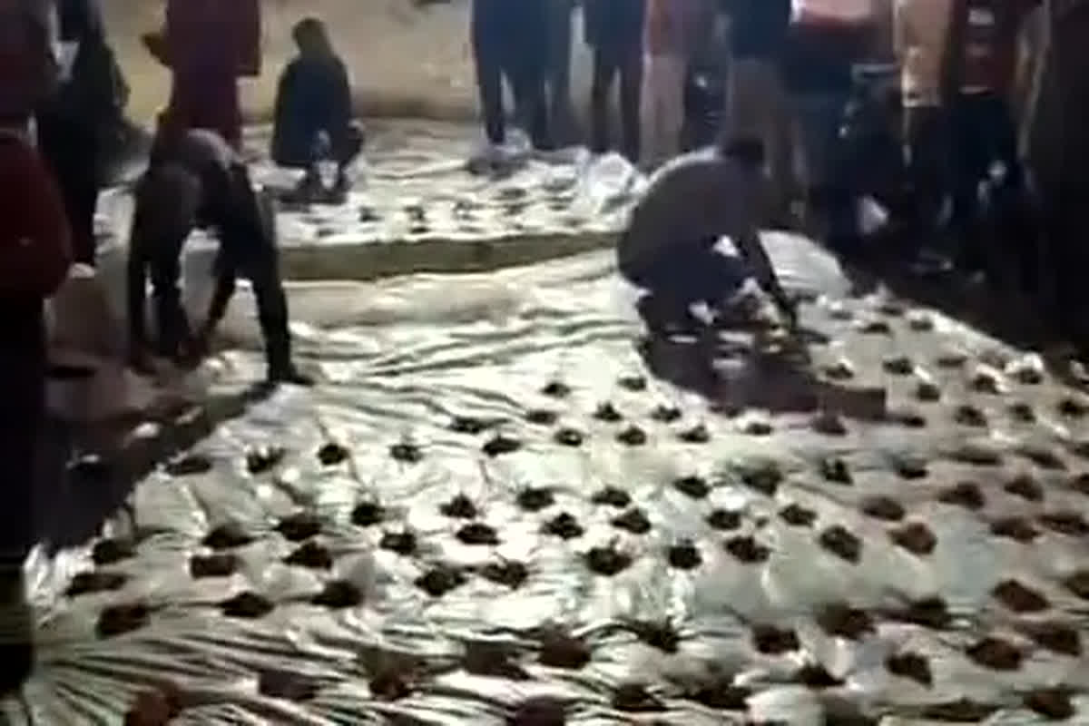 Ambikapur News: बकरा खाने से पूरे गांव में हड़कंप, ग्रामीणों को सता रहा यह डर, सरपंच और उपसरपंच पर लगाए ये आरोप, जानिए क्या है पूरा मामला