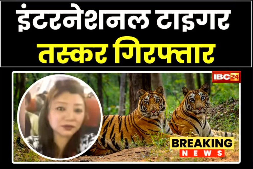 Satpura Tiger Reserve