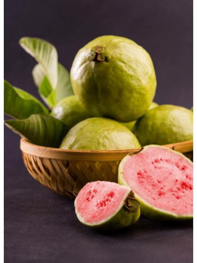 Guava Health Benefits: पतला पेट, मजबूत दिल और शुगर कंट्रोल! जानिए अमरूद के 5 जबरदस्त फायदे