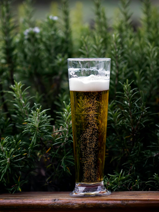 Types of Beer: सिर्फ एक नहीं जानें बीयर की 8 वेरायटीज