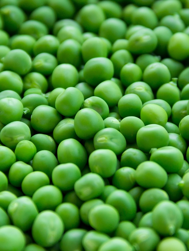 Green peas: सर्दियों में हरा मटर क्यों है सुपरफूड? जानिए इसके जबरदस्त फायदे