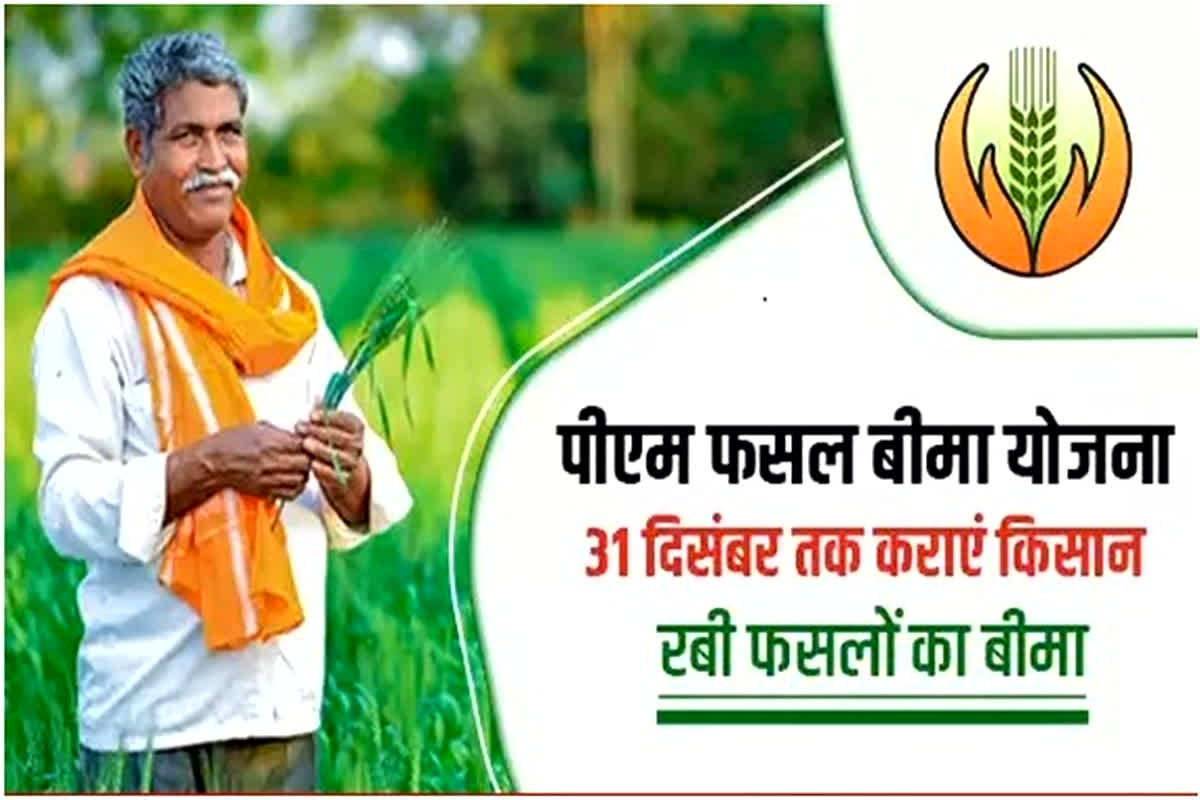 PM Fasal Bima Yojana 2025: किसानों के लिए बड़ी खबर, 31 दिसंबर से पहले करा लें ये काम, वरना नहीं उठा पाएंगे इस योजना का लाभ