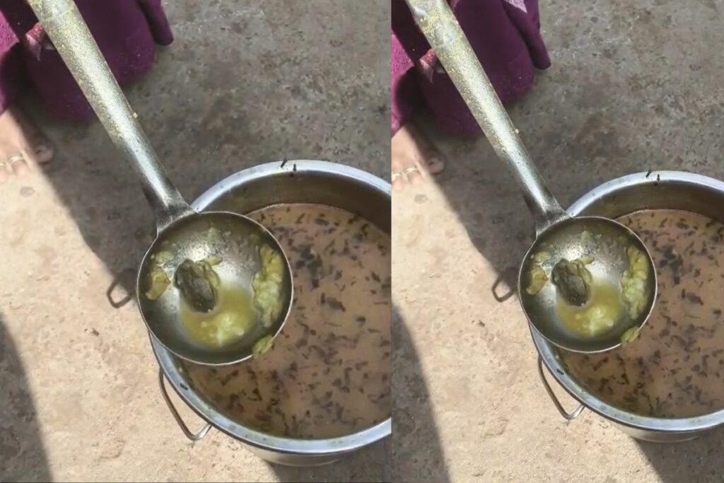 Gwalior Mid Day Meal