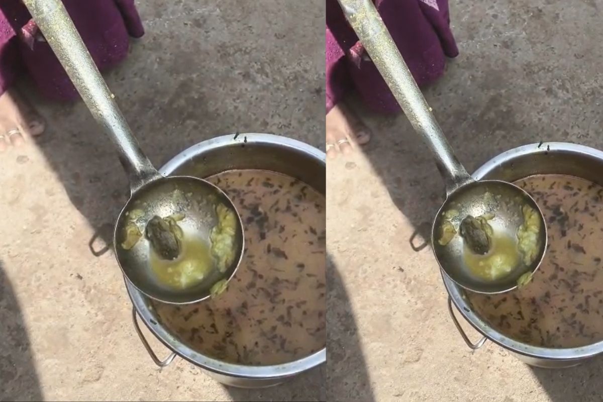 Gwalior Mid Day Meal :मध्यान्ह भोजन की सब्जी में मिला मरा हुआ मेढ़क, देखकर निकल गई बच्चों की चीखें, शिक्षक बोले- कई बार शिकायत के बाद नहीं सुधर रही व्यवस्था