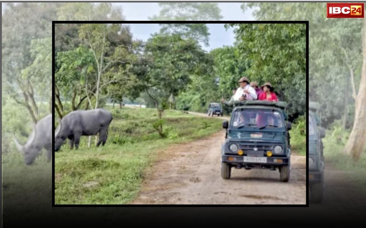 CM Mohan Yadav Bandhavgarh Visit: आज बांधवगढ़ में फैमिली टाइम स्पेंड करेंगे सीएम मोहन यादव, बाघ और वन्यजीवों के बीच बिताएंगे खास पल, सुरक्षा के कड़े इंतजाम