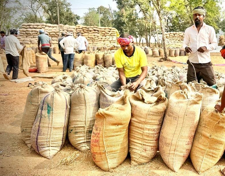 Paddy Procurement 2025-26: छत्तीसगढ़ के इस जिले में रिकॉर्ड रफ्तार से धान खरीदी, 37 हजार से ज्यादा किसानों को मिला त्वरित भुगतान, प्रशासन का संदेश स्पष्ट