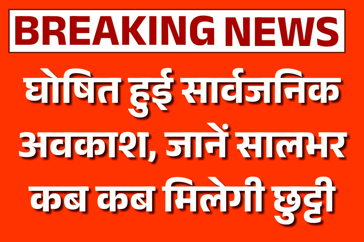 Public Holiday List 2026: सरकारी छुट्टियों का ऐलान, साल 2026 में इतने दिन बंद रहेंगे दफ्तर, देखें सार्वजनिक अवकाश का कैलेंडर