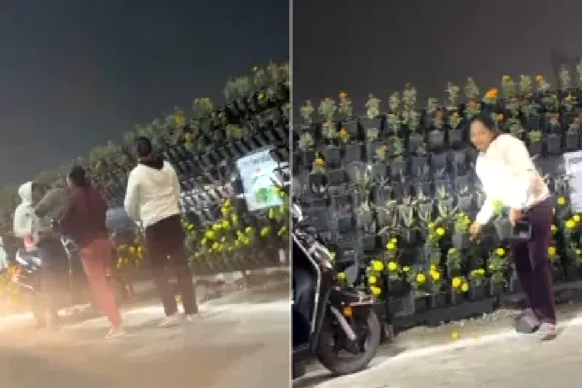 Viral Video: पीएम मोदी के जाते ही गमला चोरी करने लगी भीड़, देखते ही देखते उजड़ गया पूरा सभा स्थल, सोशल मीडिया पर वायरल हुआ वीडियो