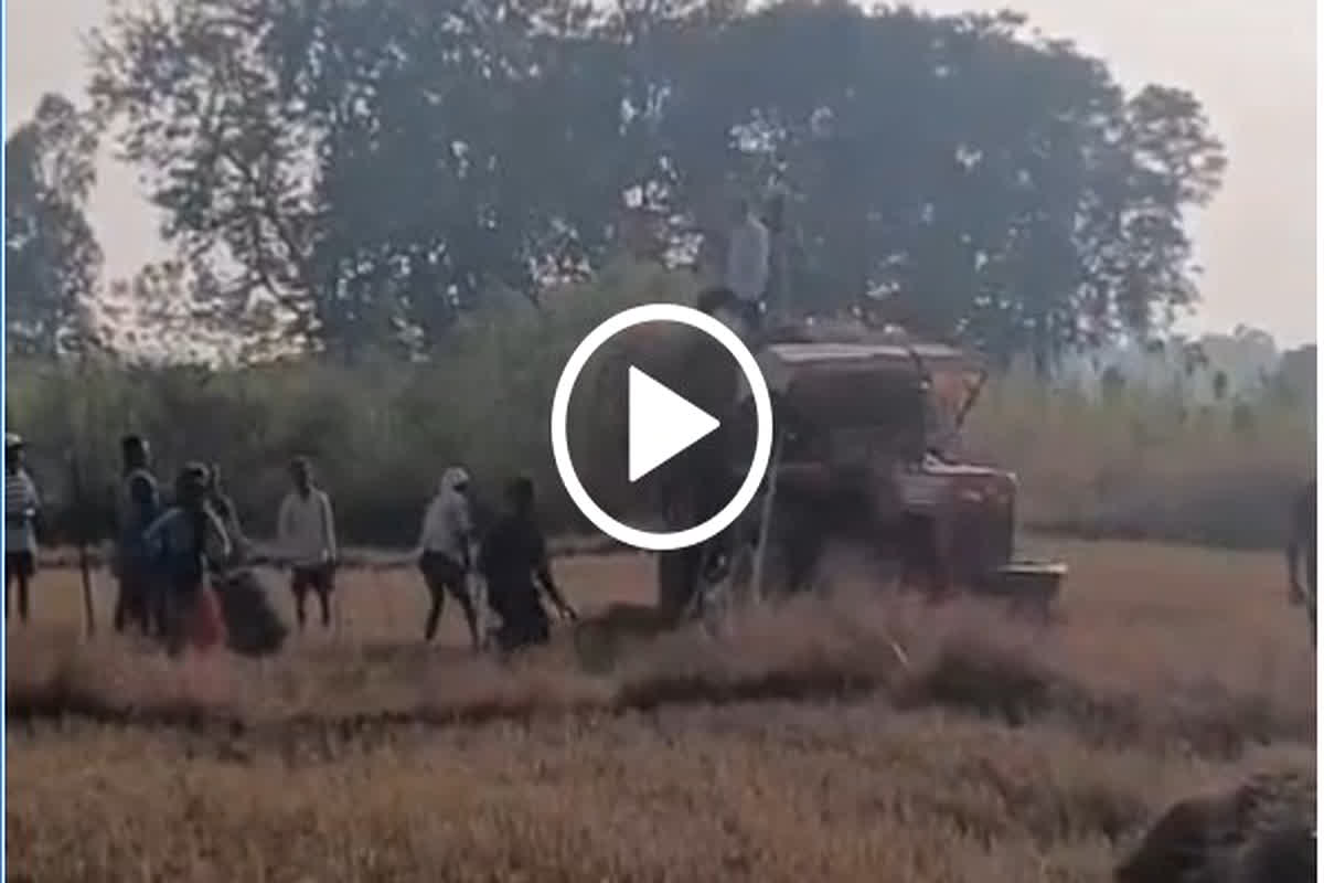 Ambikapur News: इस बात को लेकर दंपत्ति पर लाठी-डंडे से हुआ जानलेवा हमला, वीडियो वायरल