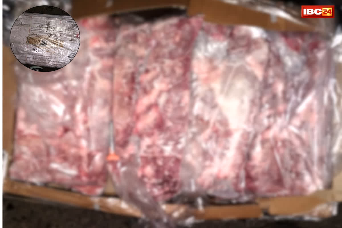 Bhopal Cow Meat: राजधानी में ‘गौ-संहार’ का काला खेल! 26 टन गौमांस की पुष्टि, लैब रिपोर्ट ने खोला रूह कंपा देने वाला राज