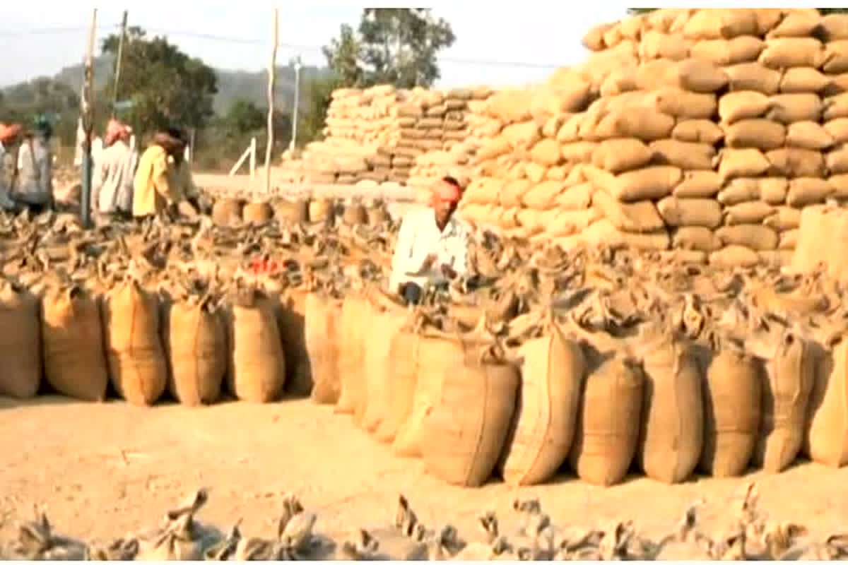 Bemetara Paddy Scam : धान खरीदी में गड़बड़ी पर सीएम साय ने लिया बड़ा एक्शन,बेमेतरा में 53,000 क्विंटल धान गायब केंद्र प्रभारी सस्पेंड