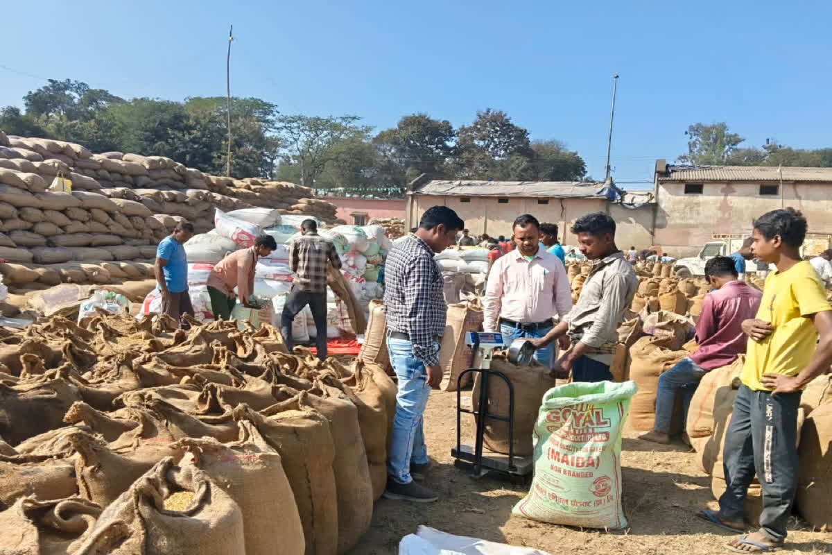 CG Dhan Kharidi Action: छत्तीसगढ़ में धान खरीदी में बड़े पैमाने पर अनियमितता! प्रदेश भर में इतने कर्मचारियों पर एक्शन, कईयों पर एफआईआर भी दर्ज