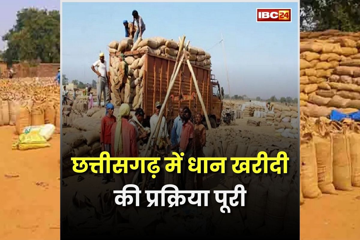 CG Dhan Kharidi Latest News: छत्तीसगढ़ में समर्थन मूल्य पर धान खरीदी पूरी, इस जिले में सबसे ज्यादा हुई खरीदी, ​देखें जिले वार आंकड़े