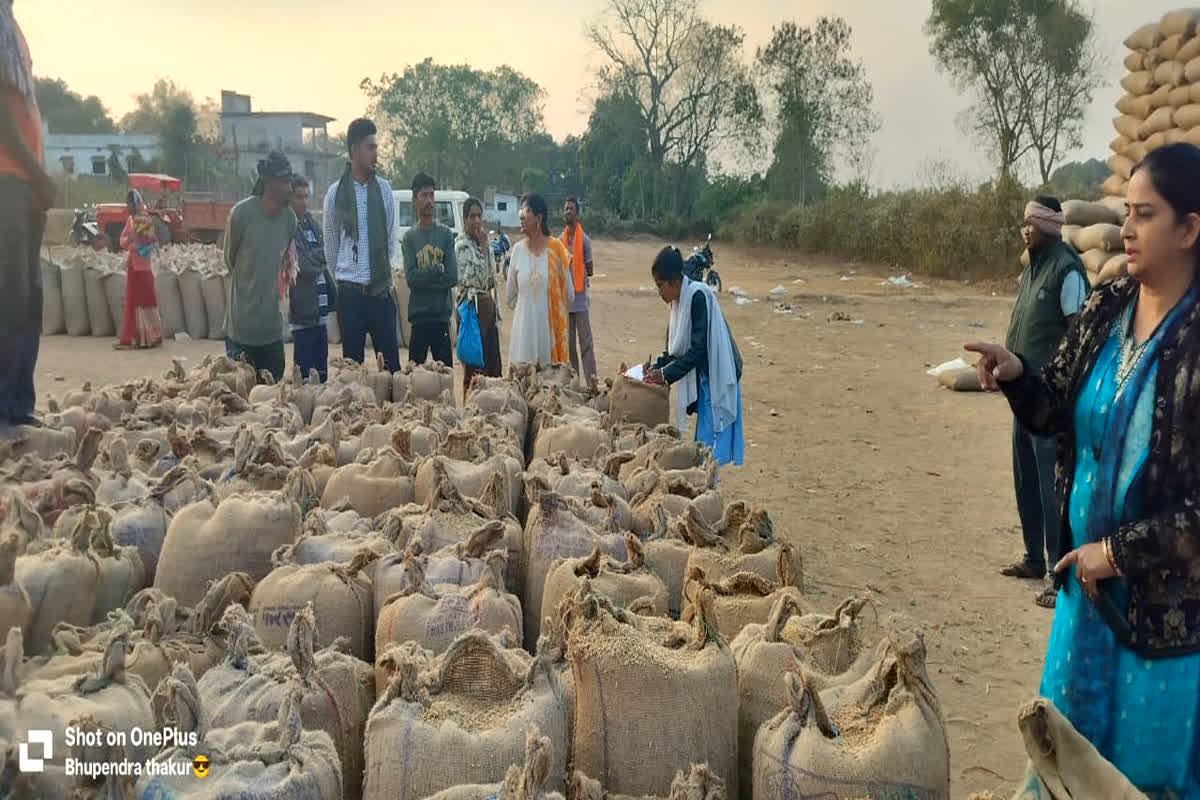 CG Dhan Kharidi News: धान खरीदी केंद्र में बड़ा खेल! अधिकारी के अचानक एंट्री और मच गया हड़कंप, अब कलेक्टर के आदेश पर हुई बड़ी कार्रवाई