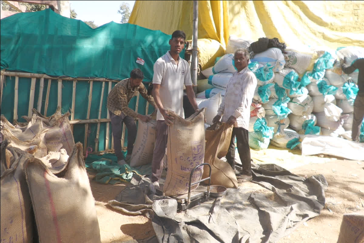 CG Dhan Kharidi Problem: धान खरीदी केंद्र में किसानों के साथ हो रहा ऐसा काम, समितियों में मचा हाहाकार… कृषि मंत्री ने अधिकारियों से कह दी ये बड़ी बात, देखें