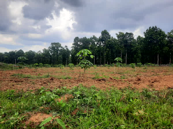 Naxal-affected area Mapping: नक्सल प्रभावित 5 हजार वर्ग किलोमीटर इलाके की होगी मैपिंग.. लगेंगे 5 साल, इस IIT के साथ सरकार का अनुबंध