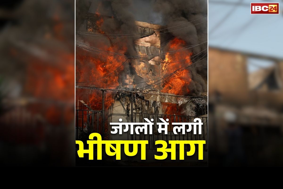 Chile Forest Fire Videos: यहां जंगलों में लगी आग में 15 की जलकर मौत.. रेस्क्यू ऑपरेशन में जुटे है 4000 दमकल कर्मी, देखे तस्वीरें