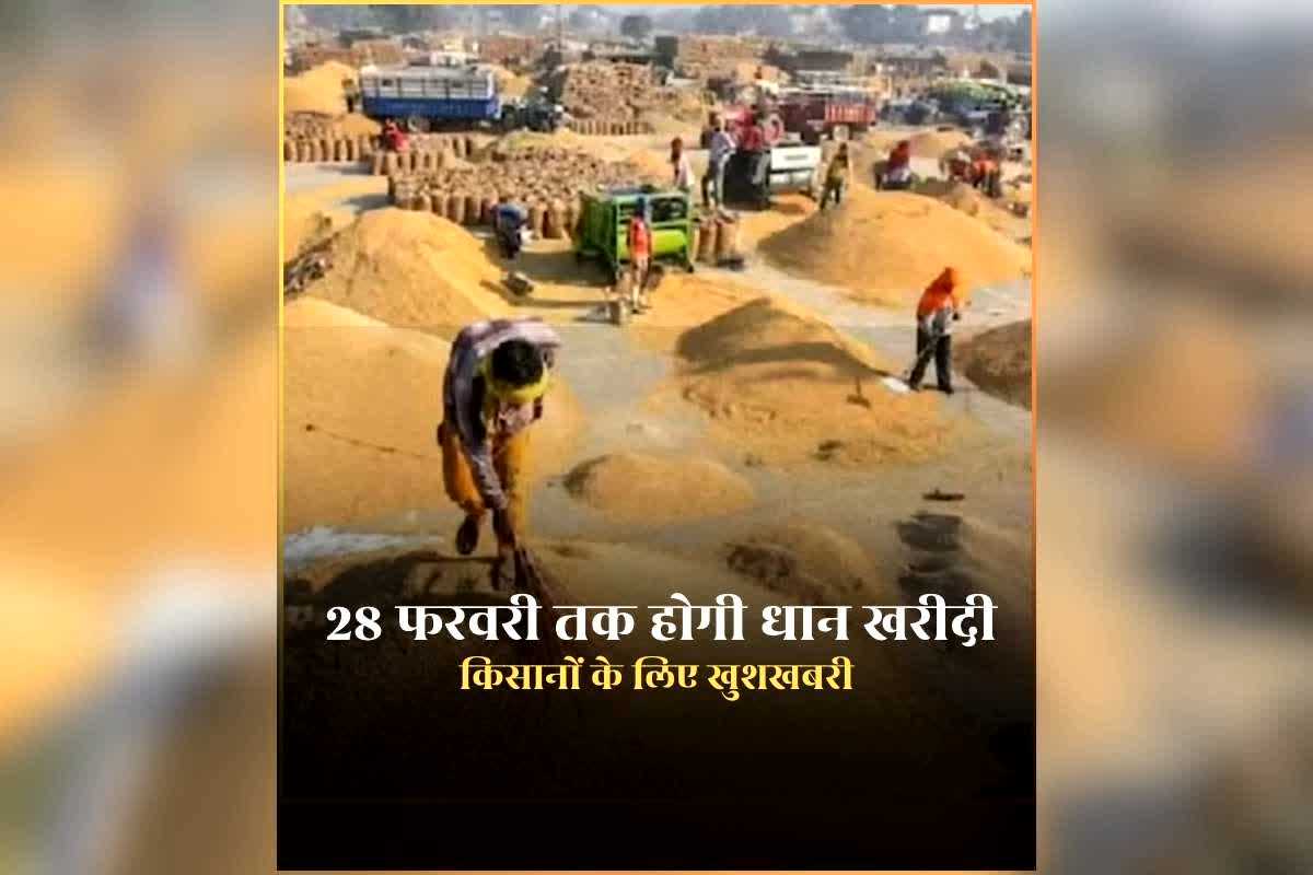Dhan Kharidi Last Date 2026: 28 फरवरी तक होगी समर्थन मूल्य पर धान खरीदी, किसानों को चिंता करने की जरूरत नहीं, अन्नदाताओं के लिए खुशखबरी