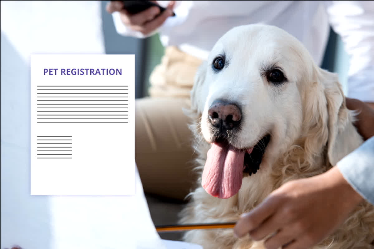 Dog Animal Registration News: अगर आप पालते हैं कुत्ता या बिल्ली तो जल्दी करा ले पंजीयन, वरना भारी जुर्माना तय, मालिकों पर लगेगा इतने रुपए का सालाना टैक्स, जानिए लीजिए क्या है नया नियम