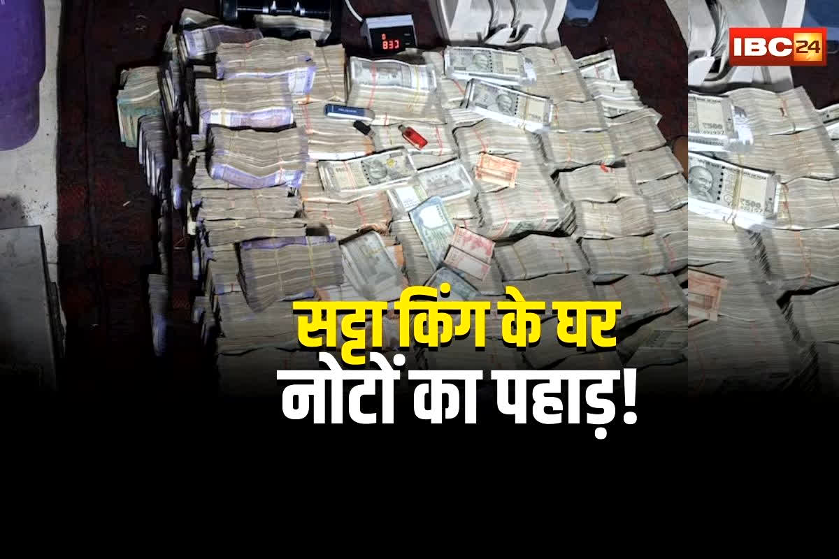 Kanpur Hawala Racket: सट्टा किंग के घर मिला नोटों का पहाड़! मशीन में भी गिनते-गिनते थक गए अधिकारी, वीडियो देख आपके भी उड़ जाएंगे होश