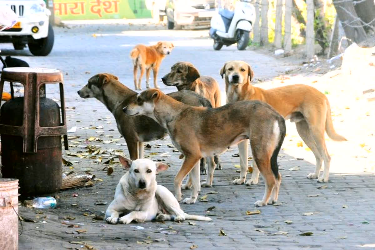 Killing Dogs in Telangana: 300 आवारा कुत्तों का क़त्ल करने वाले सरपंच और उप-सरपंच के खिलाफ FIR.. कुत्तो को मारने के लिए रखे थे दो कर्मचारी